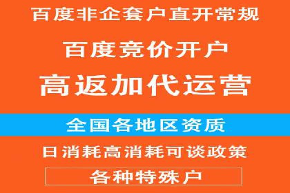 实战解析：百度竞价排名服务成功案例